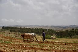 US Lifts Sanctions on Eritrea's Ruling Party and Military