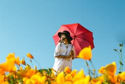 What Is Umbrella Insurance and When Do You Need It?