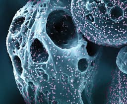 FDA Grants Accelerated Approval to New Drug Class for Multiple Myeloma Treatment