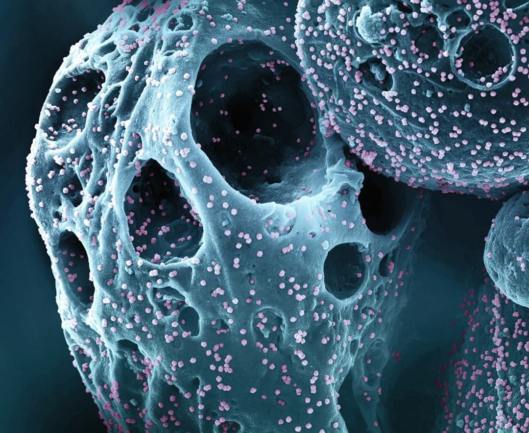 FDA Grants Accelerated Approval to New Drug Class for Multiple Myeloma Treatment