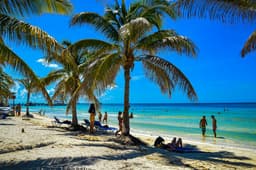 Cuba's National Power Grid Collapses, Leaving Over 9 Million Without Electricity
